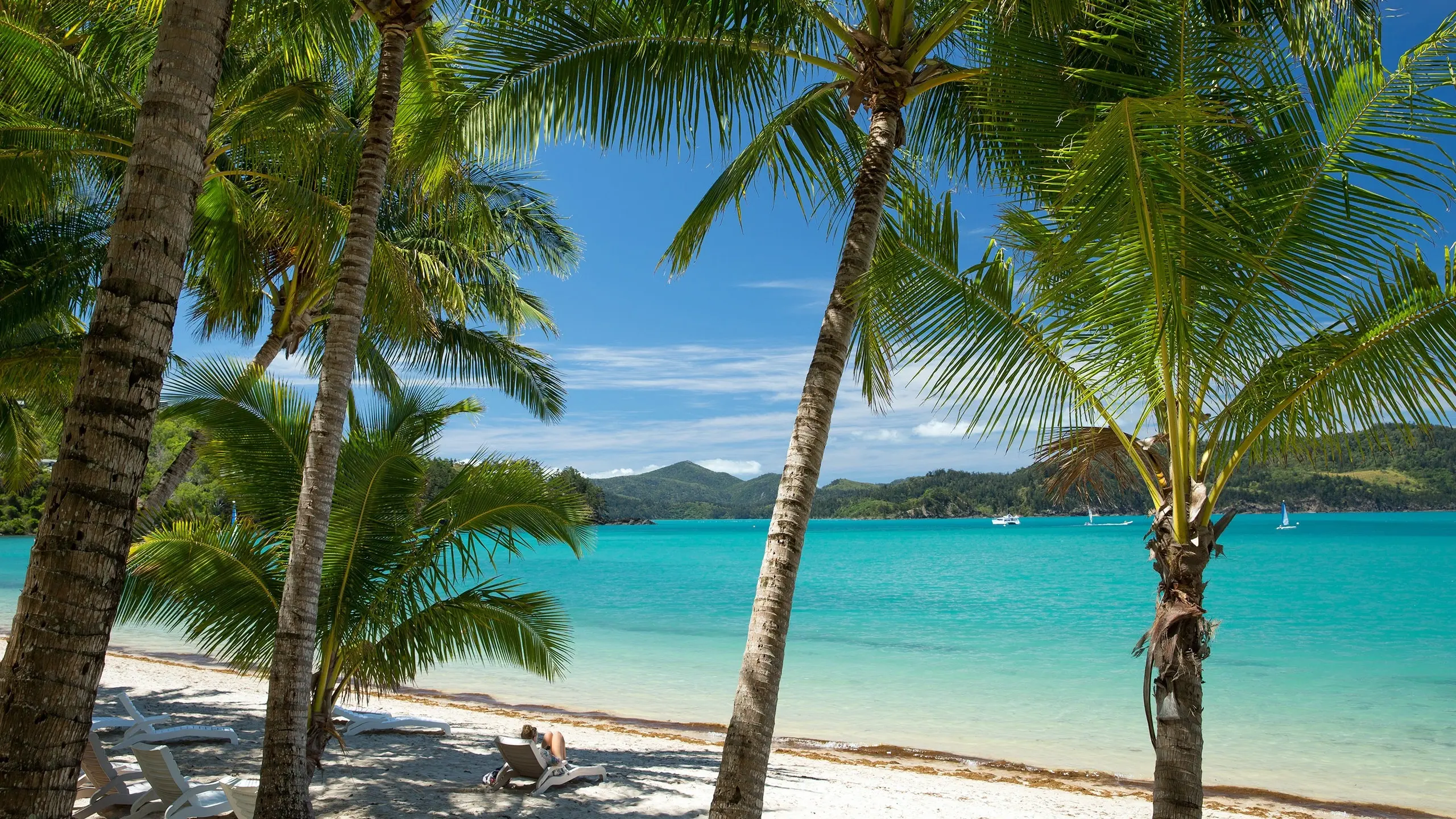 Person on sun-lounger on white sand beach with palm trees looking out over turquoise water, boats and islands, Hamilton Island, Queensland. Image credit: Shutterstock