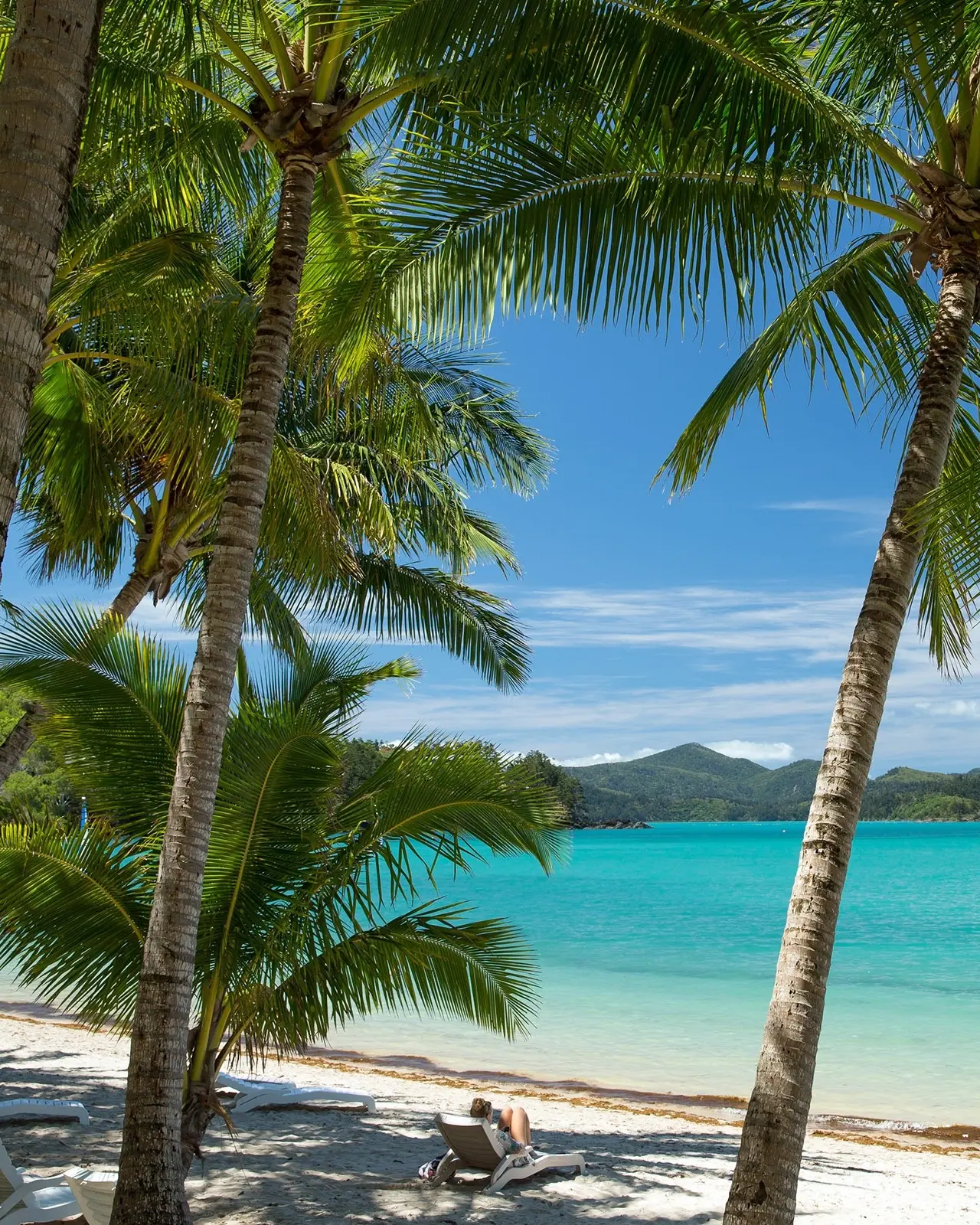 Person on sun-lounger on white sand beach with palm trees looking out over turquoise water, boats and islands, Hamilton Island, Queensland. Image credit: Shutterstock