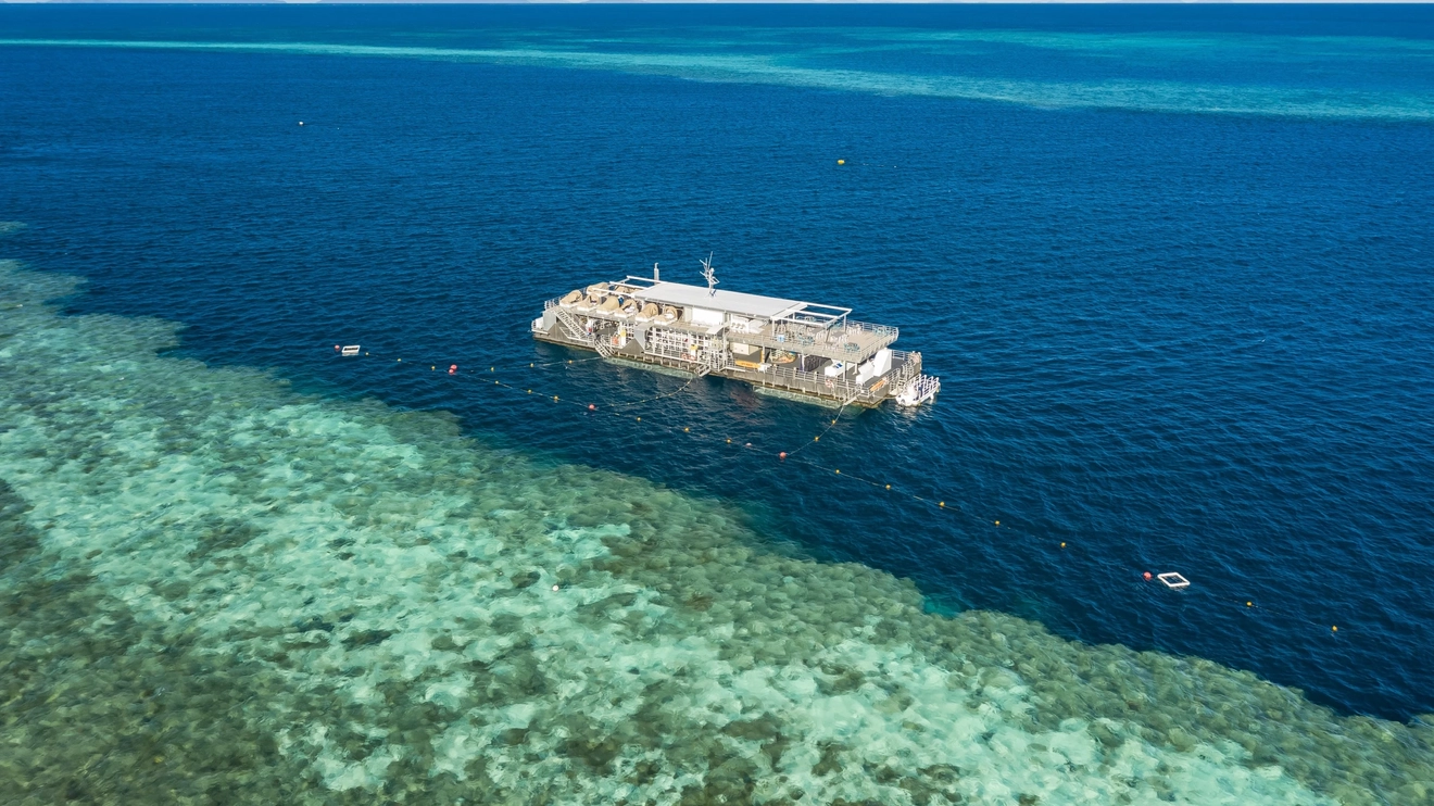 Aerial view of Reefworld pontoon, with snorkellers in the waters, Whitsunday Coast. Image credit: Tourism and Events Queensland