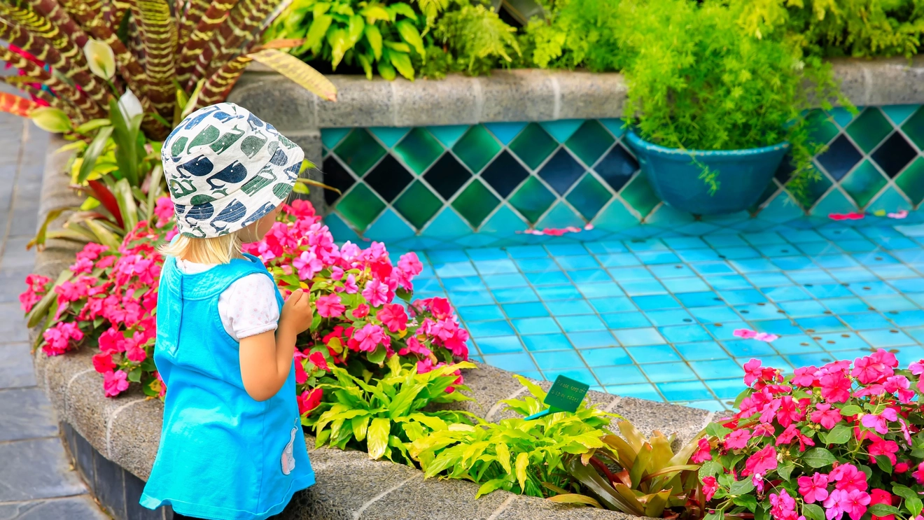 Small child looking at flower-fringed wishing fountain at Begonia House, Wellington Botanic Garden, New Zealand. Image credit: stock.adobe.com