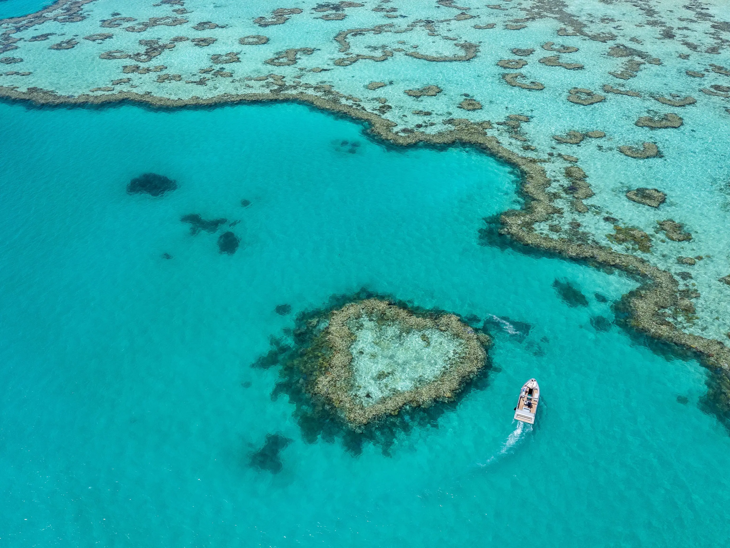 Aerial view of coral reefs on the Great Barrier Reef, including Heart Reef, and surrounding water on the Whitsunday Coast. Image credit: Tourism and Events Queensland