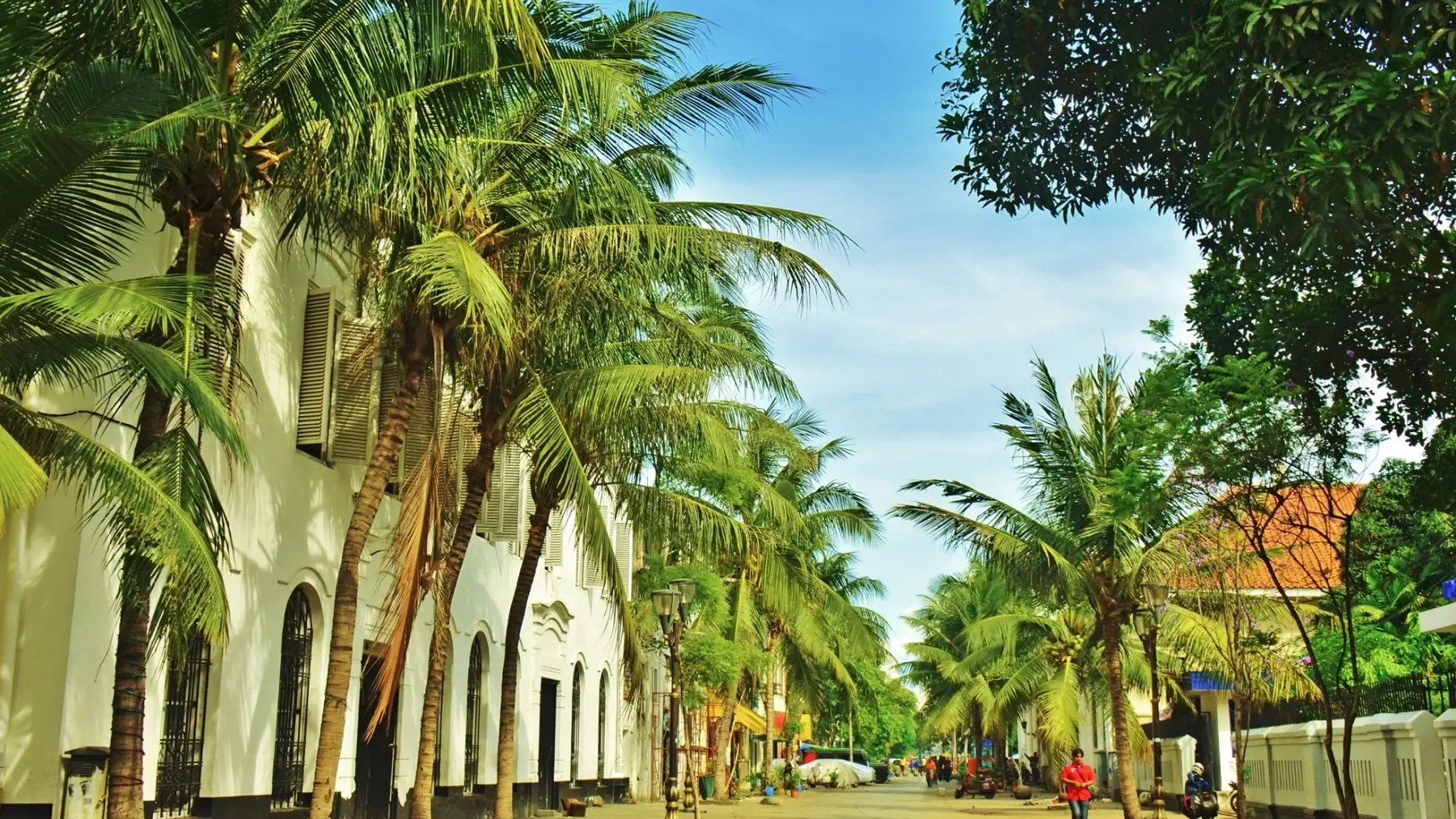 Jakarta's old town, Kota Tua, with its palm-fringed streets and colonial buildings. Image credit: stock.adobe.com