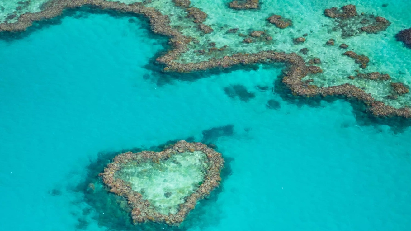 An aerial shot of the heart-shaped Heart Reef and the Great Barrier Reef, Whitsunday Coast, Queensland. Image credit: Shutterstock