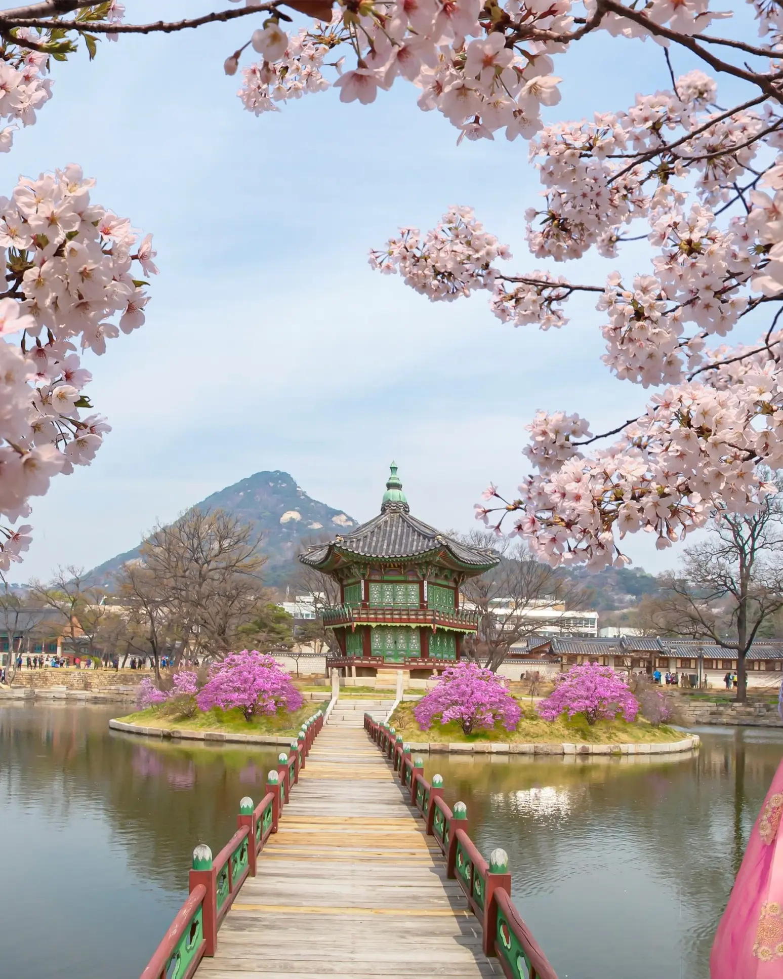 Two people in traditional hanbok dresses looking out to Hyangwonjeong Pavilion in Gyeongbokgung Palace in Seoul surrounded by water with cherry blossoms above. Image credit: stock.adobe.com