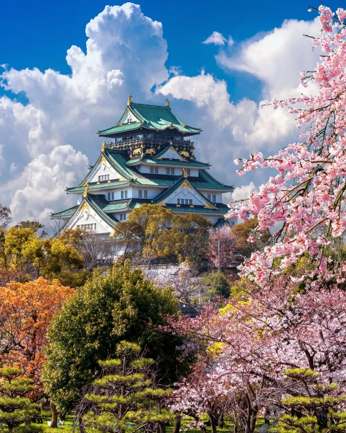 Osaka Castle on the horizon with fluffy white clouds, blue sky and autumnal trees and cherry blossoms. Image credit: stock.adobe.com