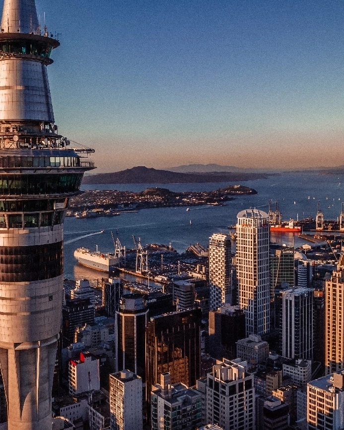 Aerial view of Auckland’s SkyTower, city skyline and harbour. Image credit: stock.adobe.com