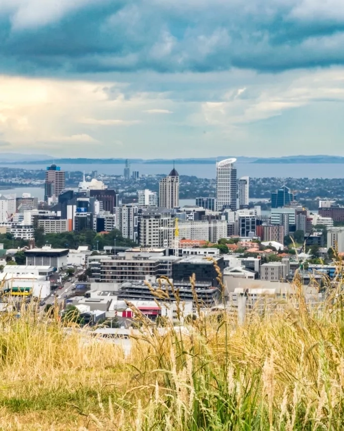 Young man looks down from a mountain at the view of Auckland below. Image credit: stock.adobe.com