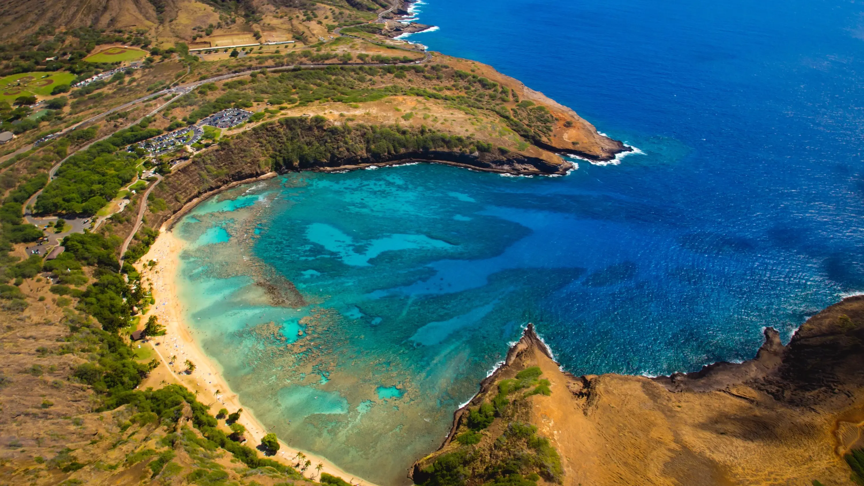 Aerial view of curved Hanauma Bay's aquamarine water, coral reefs and golden-sand beach, fringed by volcanic cliffs. Image credit: stock.adobe.com