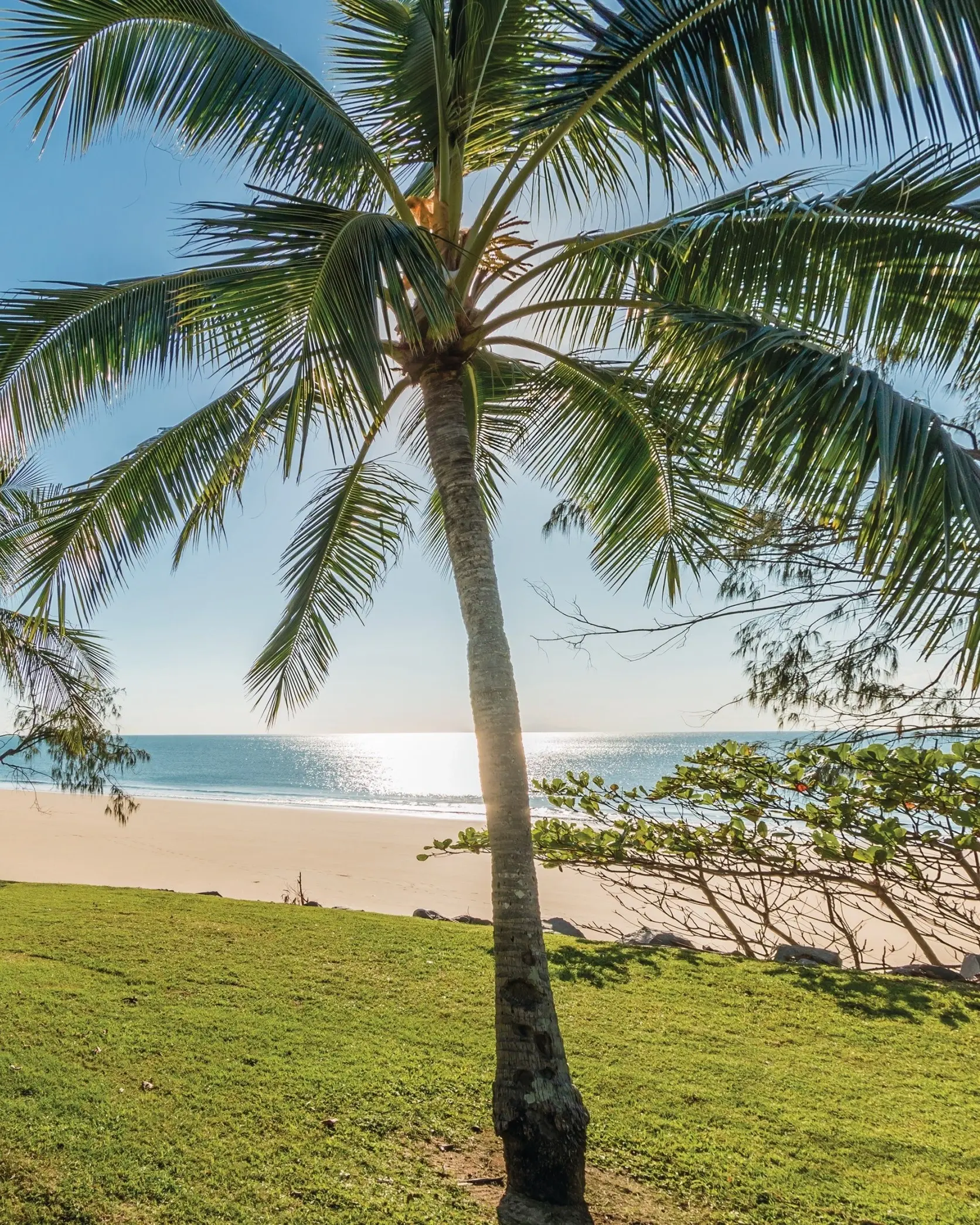 Lawn and palm trees line the white sand and calm water at Blacks Beach, Mackay. Image credit: Tourism and Events Queensland