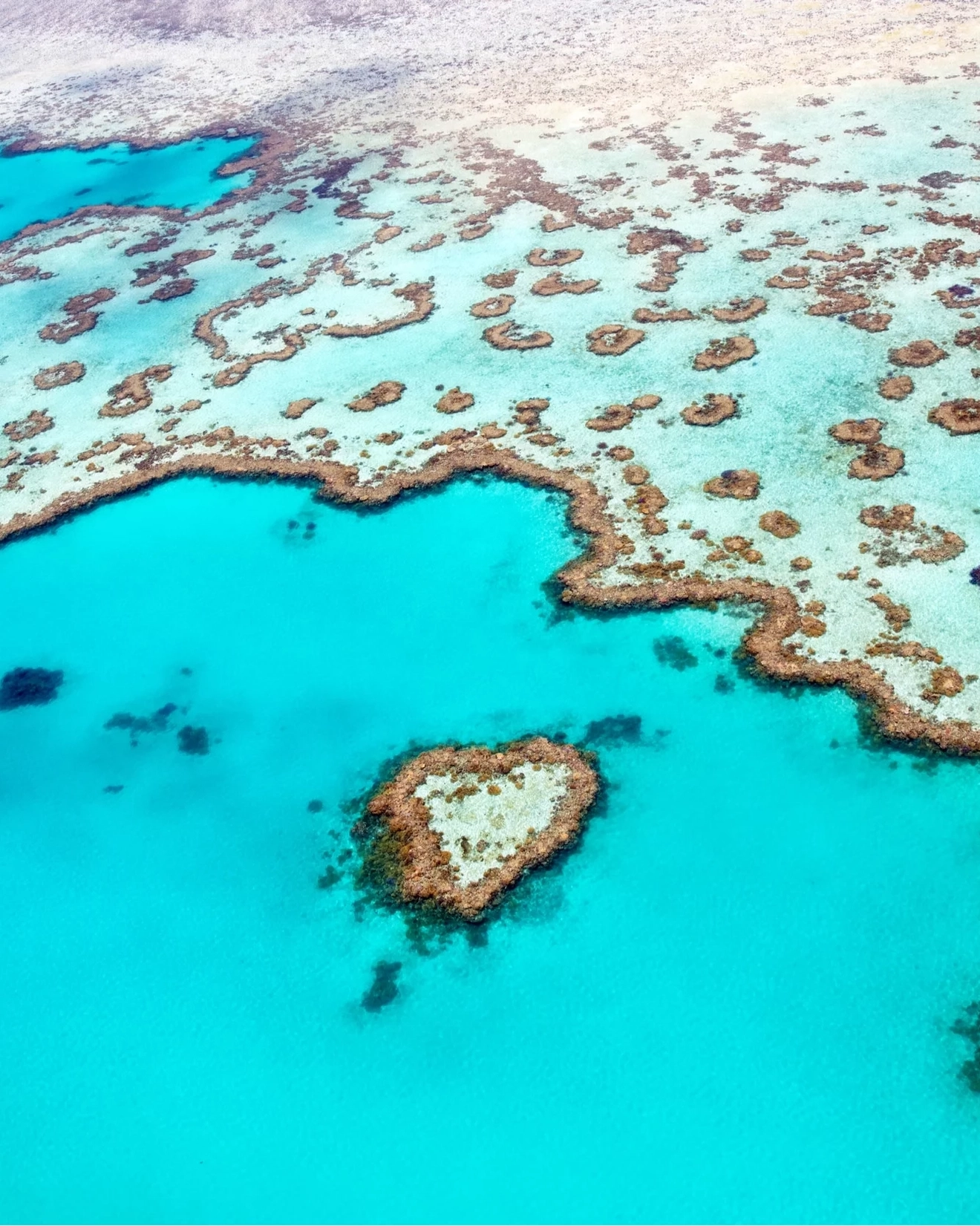 Aerial view of Heart Reef on the Whitsunday Coast, Queensland. Image credit: Shutterstock