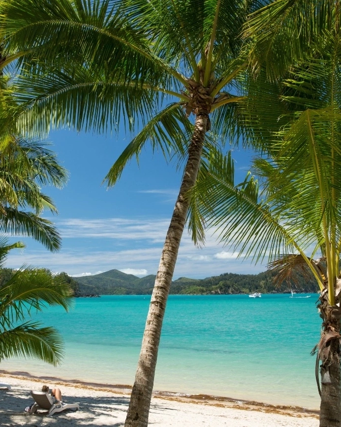 Person on a deck chair on the white sand at Hamilton Island’s Cats Eye Beach, with palm trees in the foreground and boats on the water in the background. Image credit: Shutterstock