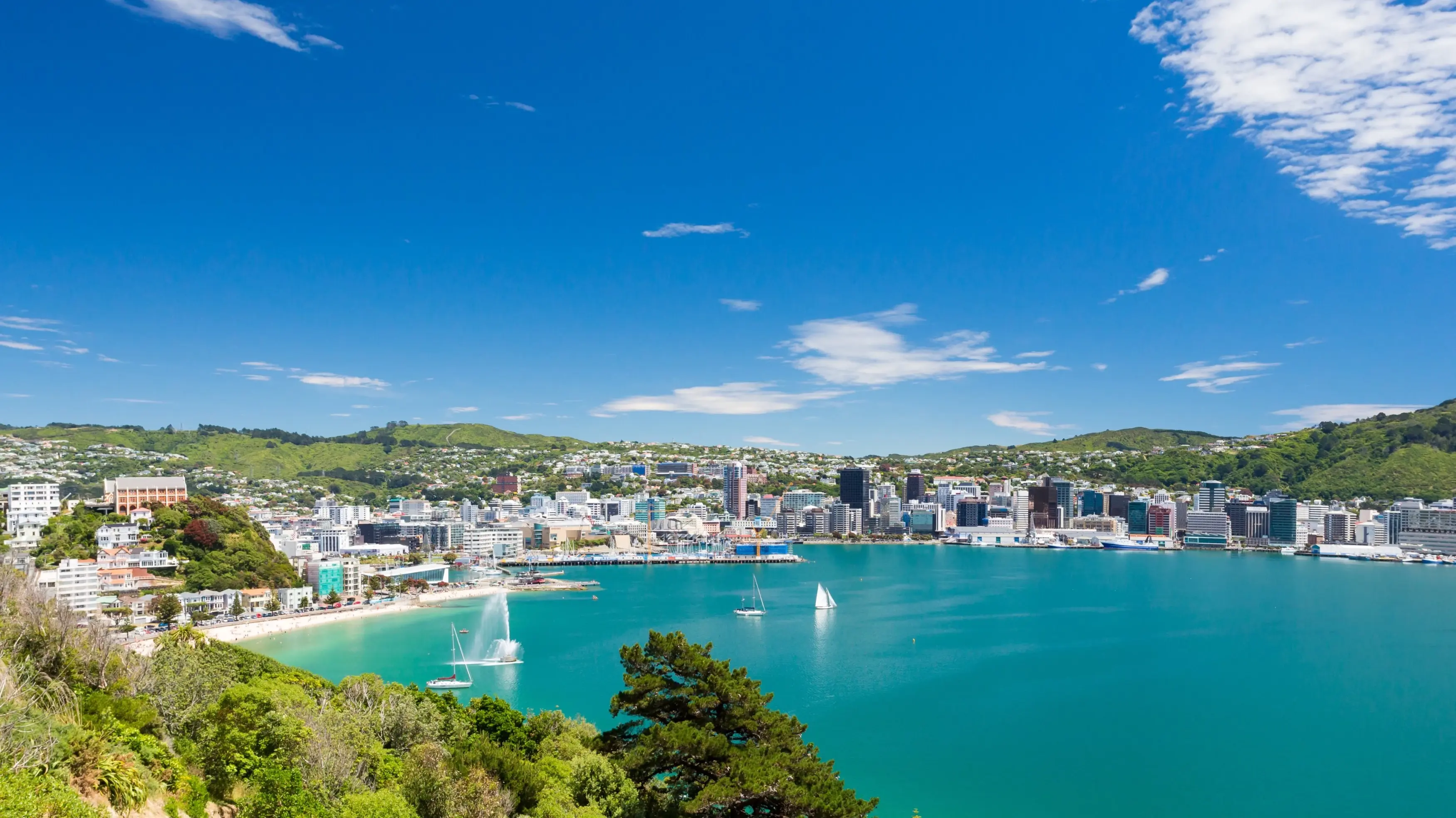 The harbour from above with Oriental Bay in the foreground and the city in the background, with rolling green hills behind, Wellington, New Zealand. Image credit: stock.adobe.com