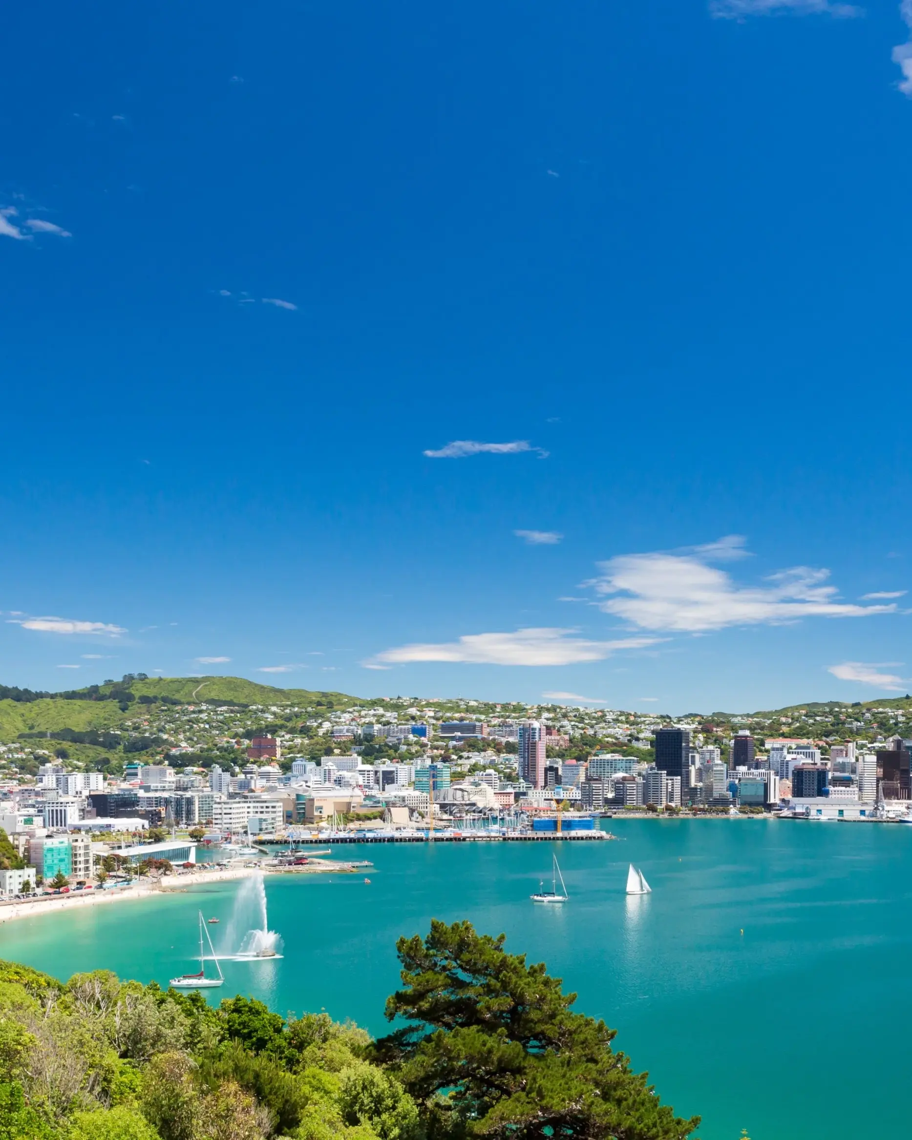 The harbour from above with Oriental Bay in the foreground and the city in the background, with rolling green hills behind, Wellington, New Zealand. Image credit: stock.adobe.com