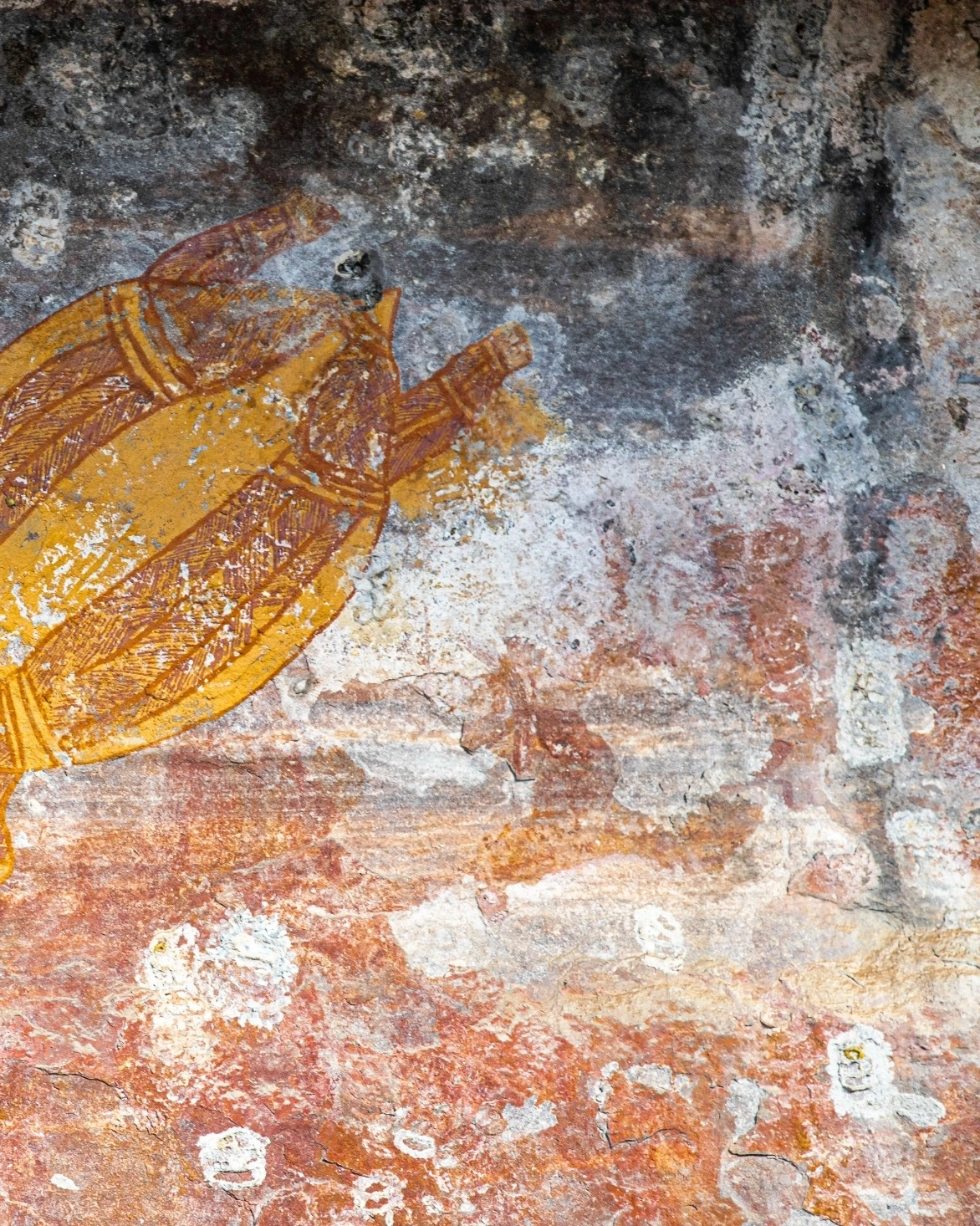 Ancient rock art at Ubirr (Kakadu), depicting a long-neck turtle. The Northern Territory is an incredible place to learn about Aboriginal Australia. Image credit: Tourism NT/Helen Orr.