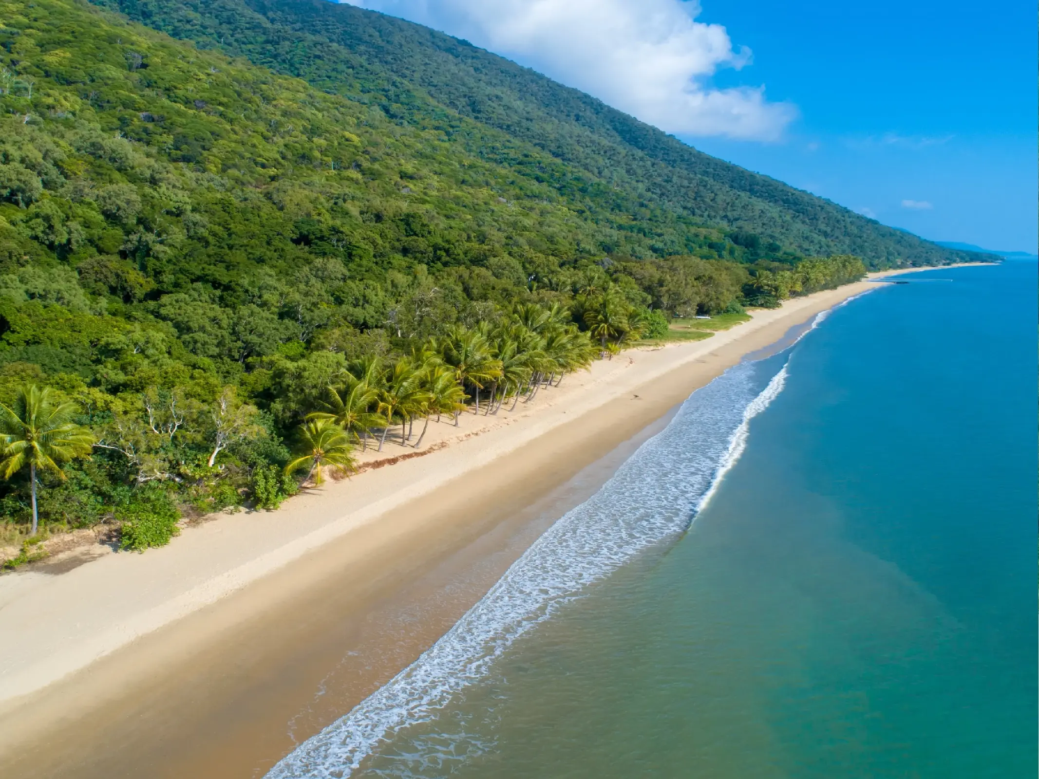 Aerial view of Ellis Beach, Cairns. Image credit: Tourism Tropical North Queensland