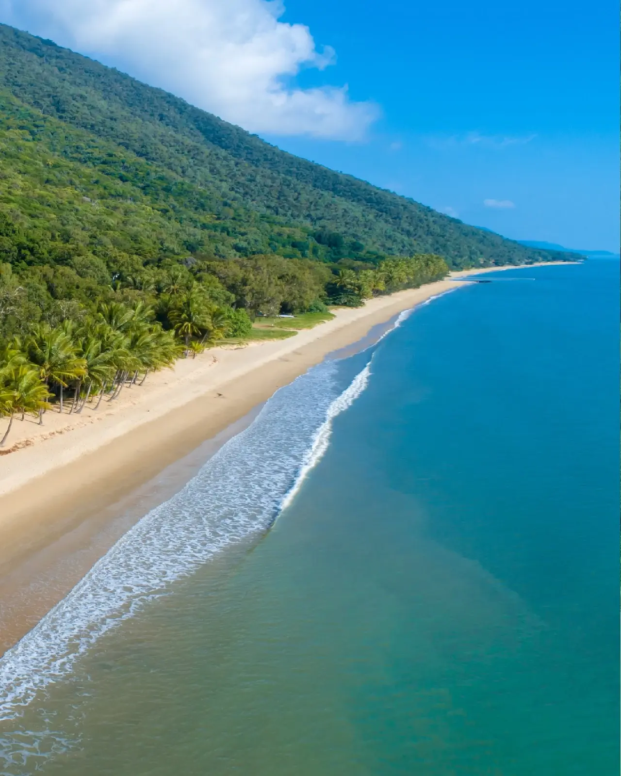 Aerial view of Ellis Beach, Cairns. Image credit: Tourism Tropical North Queensland