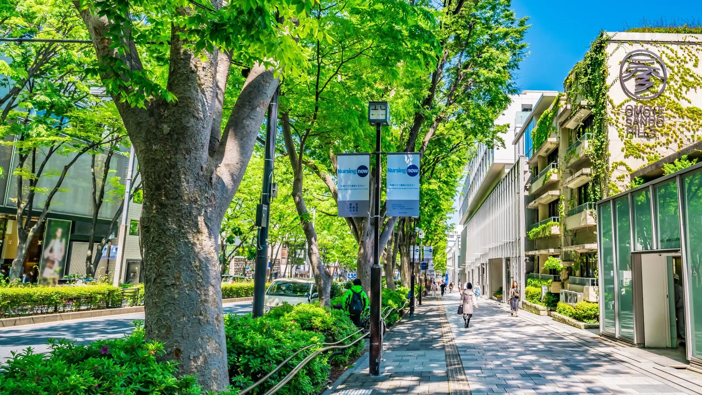 Fashionable shopping street Omotesandō with green trees on the left and fashion boutiques on the right. Image credit: stock.adobe.com