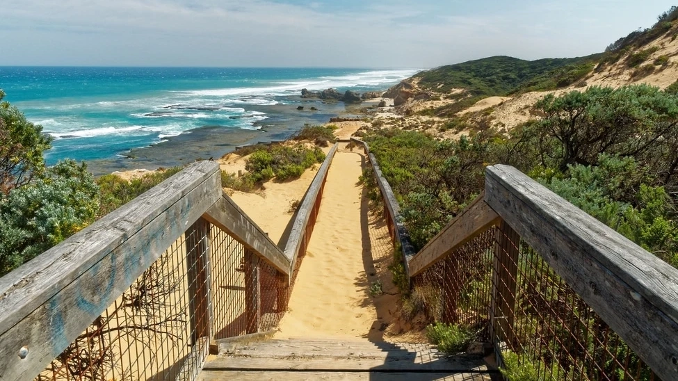 A wooden path leading down to the Sorrento to Portsea coastal walk.