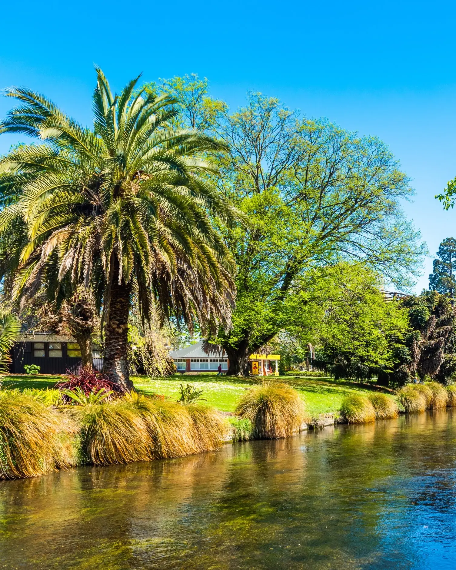 The Avon River runs through the Christchurch Botanic Gardens in Hagley Park, Christchurch, New Zealand. Image credit: stock.adobe.com