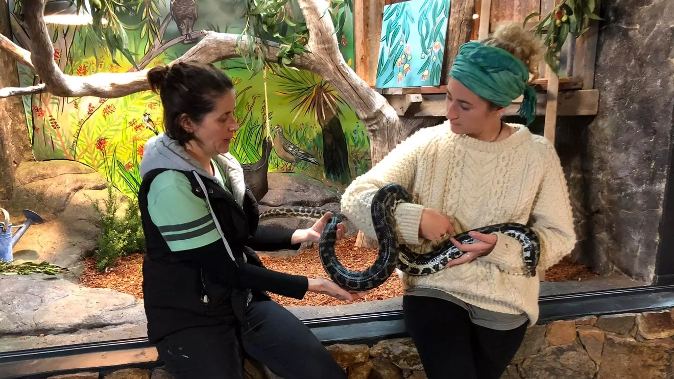 Snake demonstration at Discover Deadly, Margaret River. Image credit: Discover Deadly.