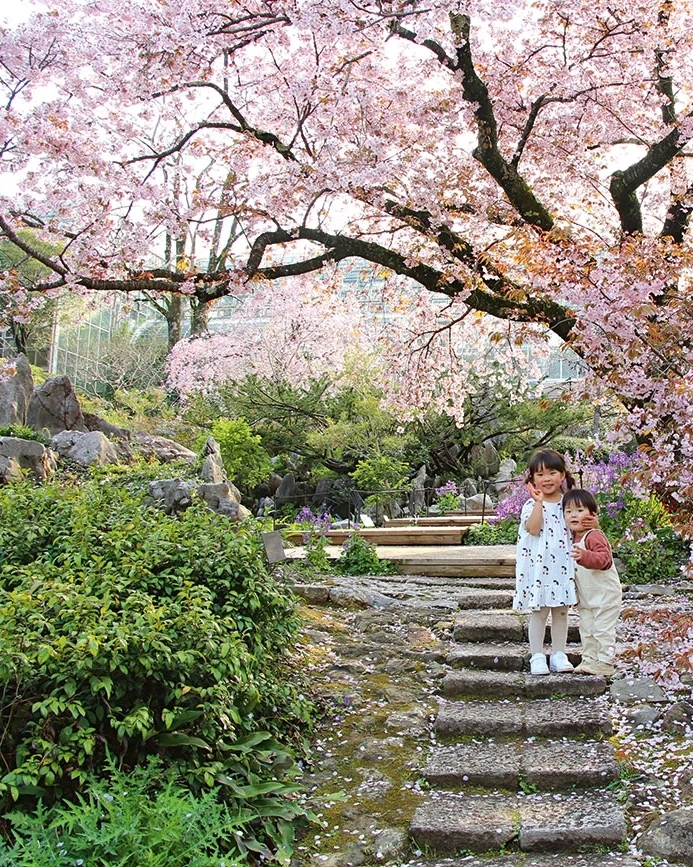 Two children standing in front of cherry blossom