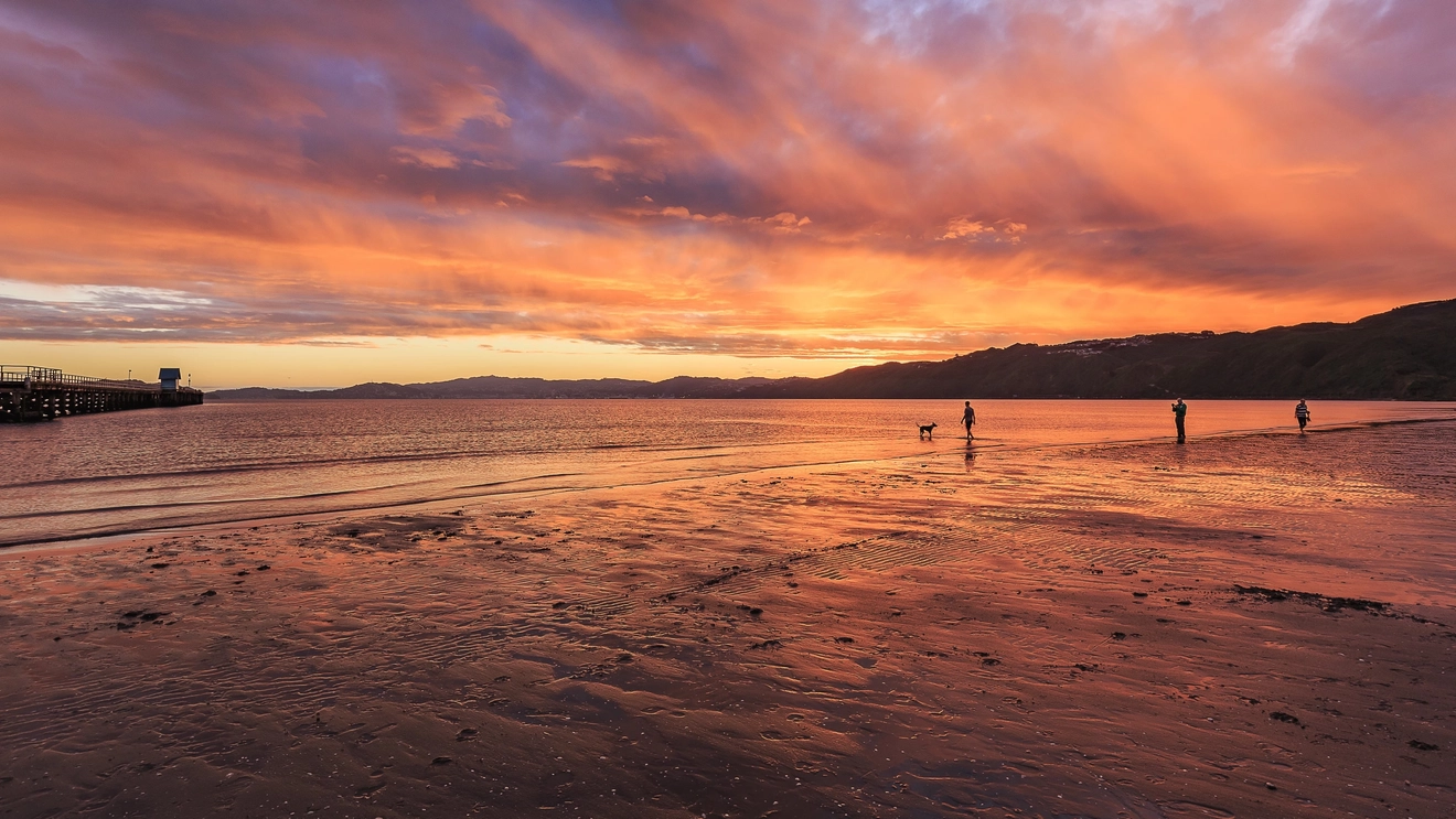 The beach at Petone at sunset, with people and a dog silhouetted on the shore, New Zealand. Image credit: stock.adobe.com