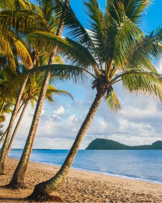 Palm Cove beach with sand, palm trees and water in the foreground, island in the background. Image credit: Shutterstock