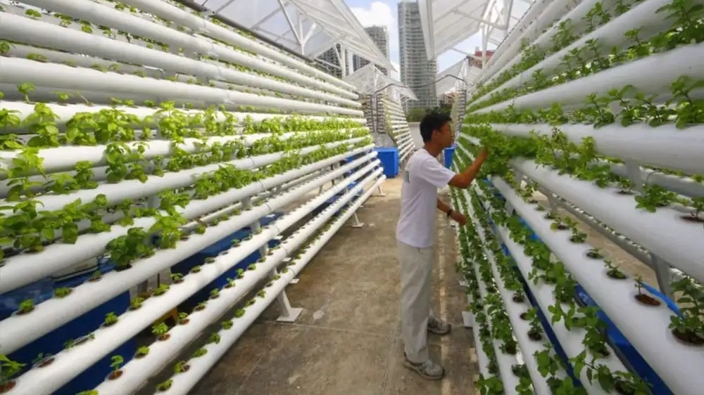 ComCrop