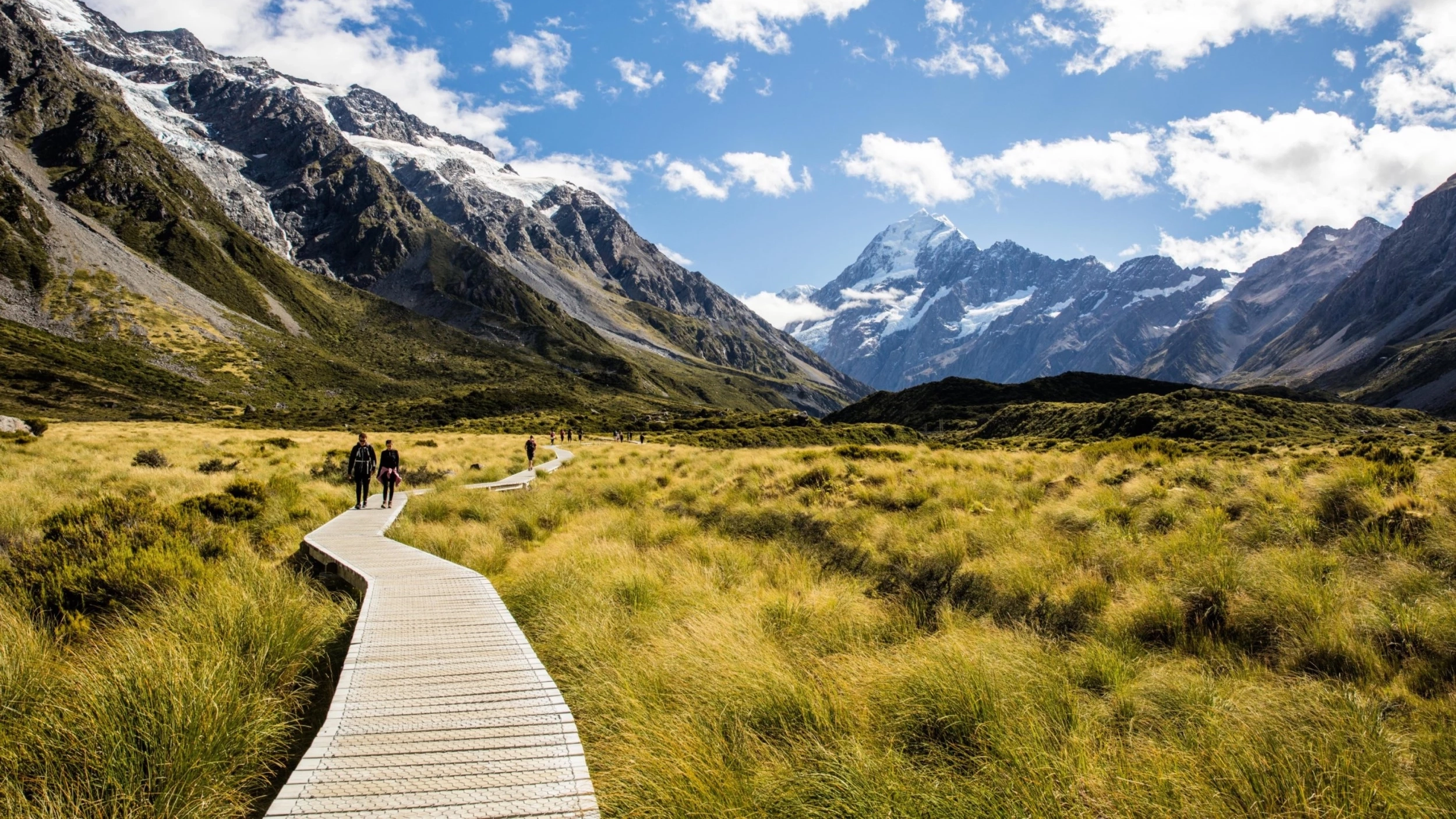 A boardwalk with walkers on it snakes through tussock in front of Aoraki Mt Cook, Christchurch, New Zealand. Image credit: stock.adobe.com