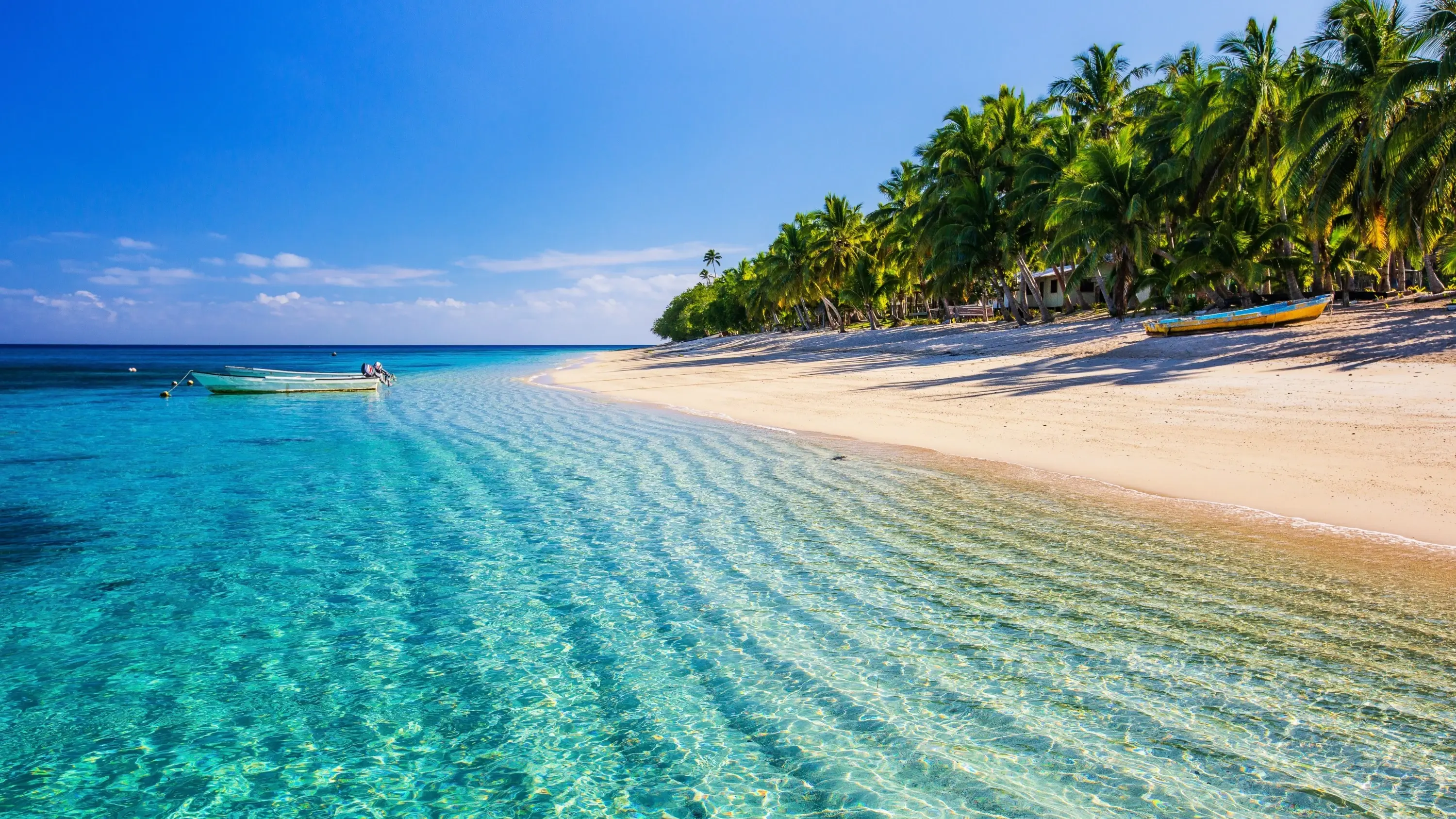 Sparkling turquoise water and white-sand beach with palm trees and blue sky in the background at Dravuni Island, Fiji. Image credit: stock.adobe.com