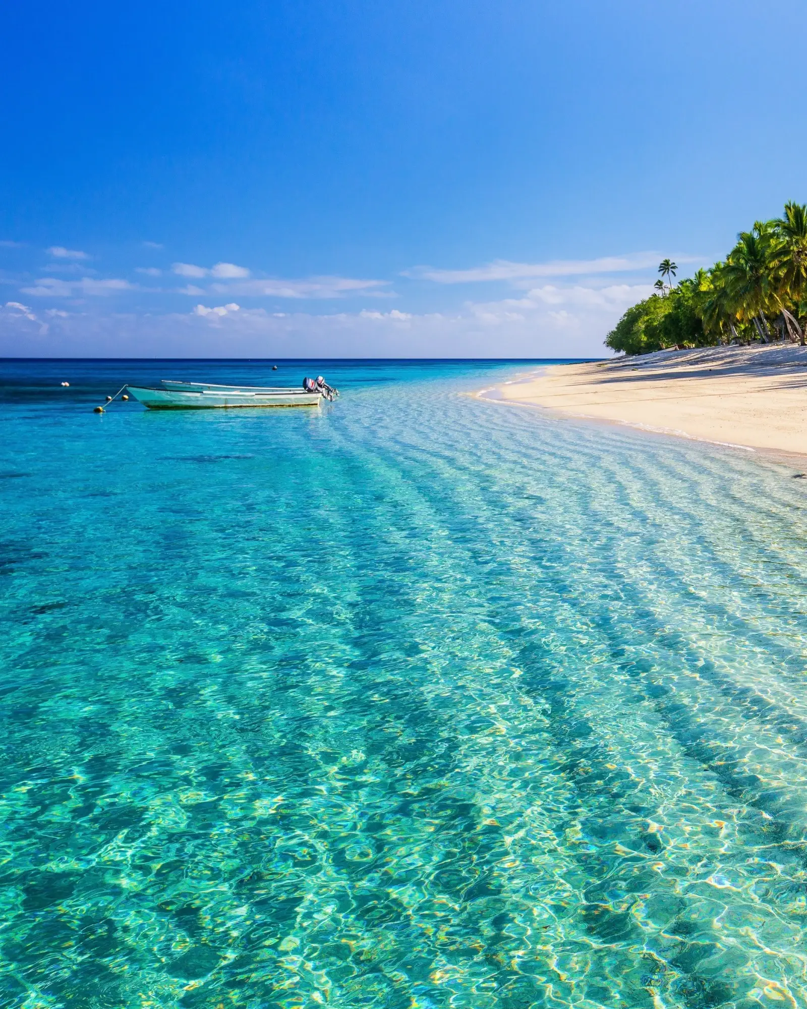 Sparkling turquoise water and white-sand beach with palm trees and blue sky in the background at Dravuni Island, Fiji. Image credit: stock.adobe.com