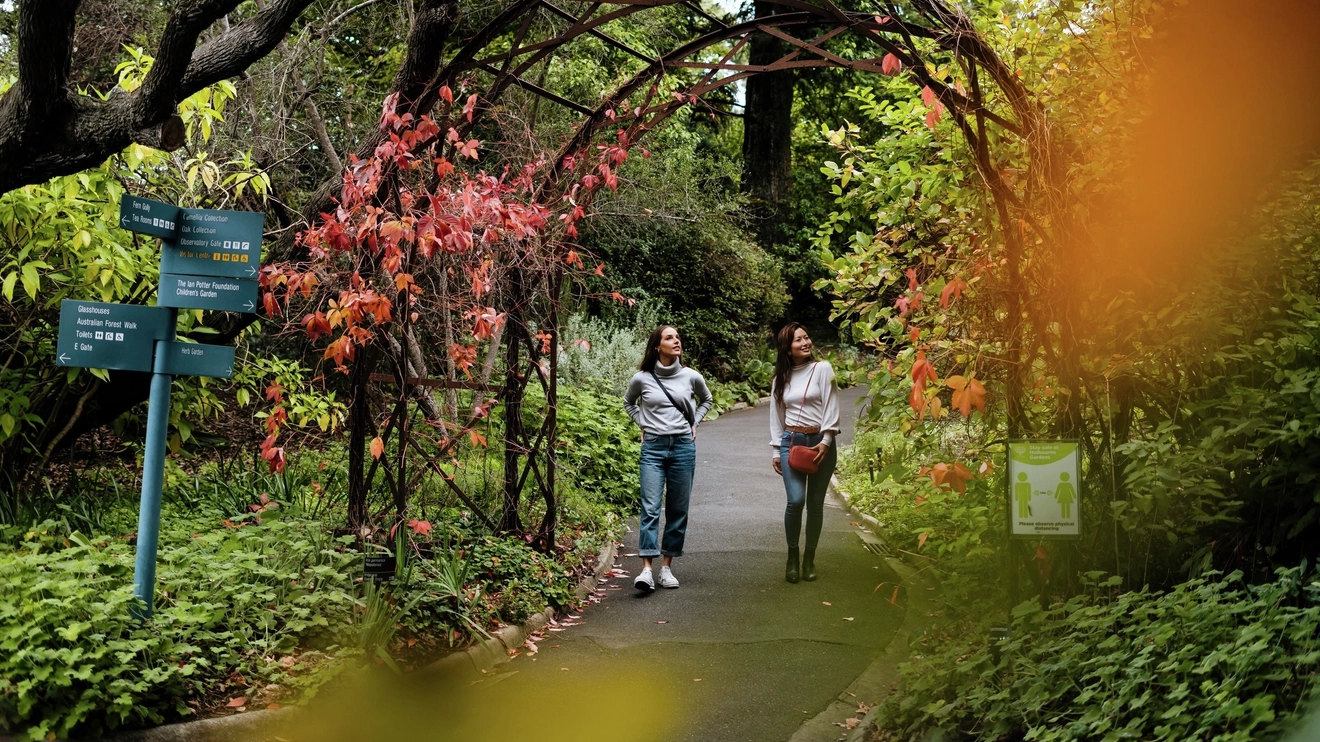 Two friends wander down a path in the Royal Botanic Gardens, Melbourne. Image credit: Visit Victoria/Ain Raadik