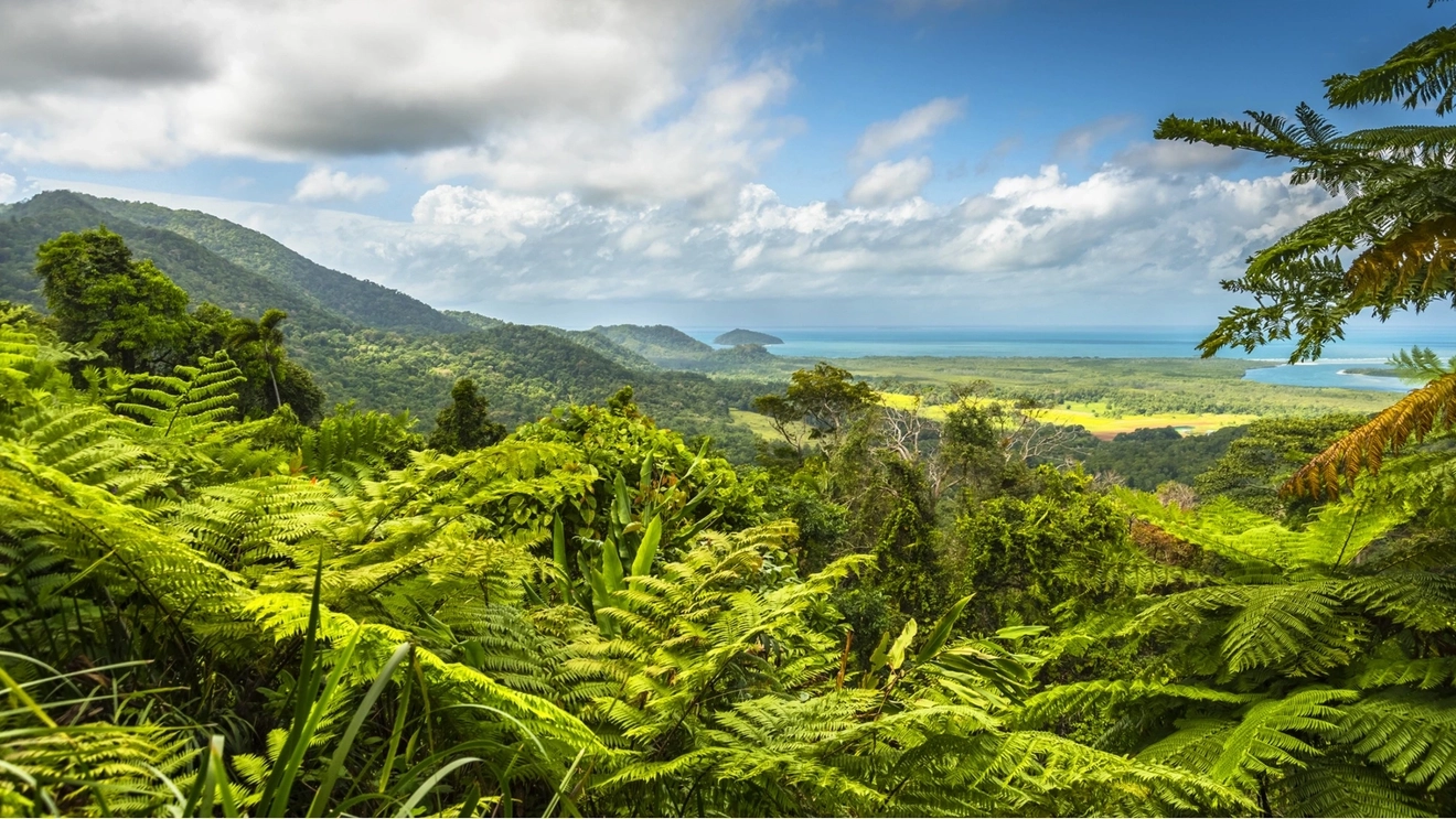 Rainforest view from a lookout, Daintree Rainforest in the foreground, with Great Barrier Reef in the background.
