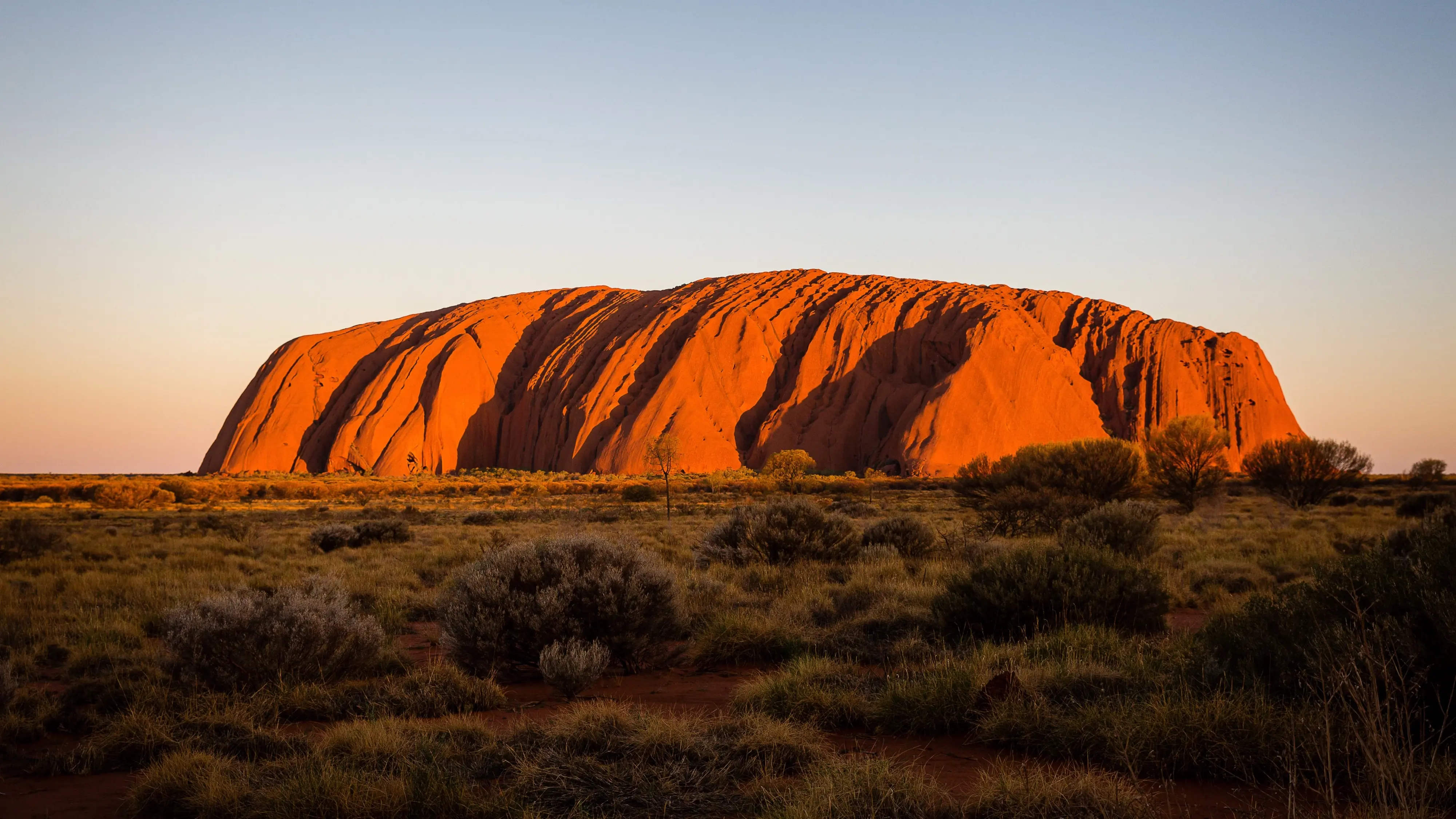 Red-orange Uluru with kangaroo grass and shrubs in the foreground. Image credit: Tourism NT/Kate Flowers