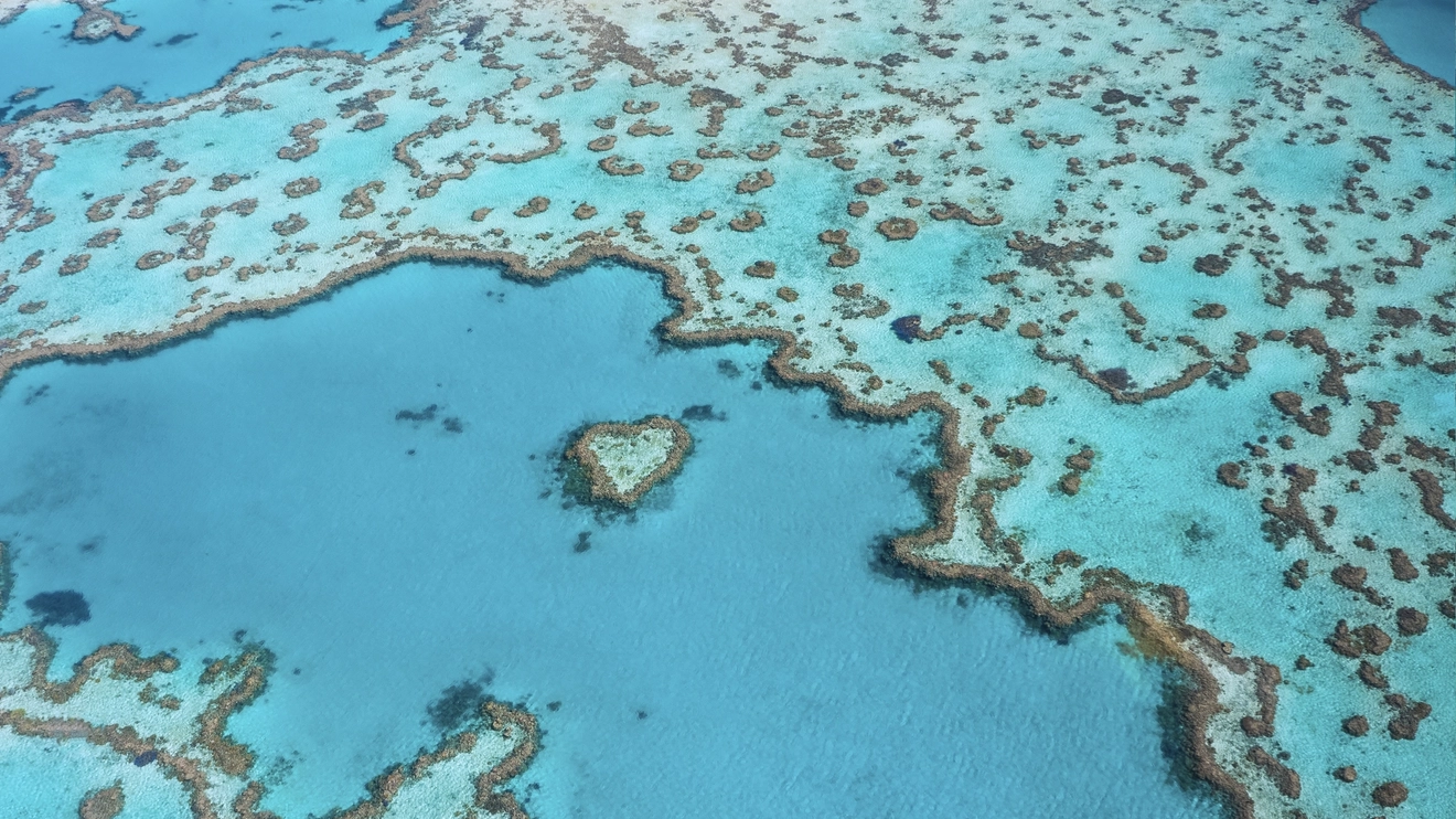 Aerial view of Heart Reef in the Great Barrier Reef