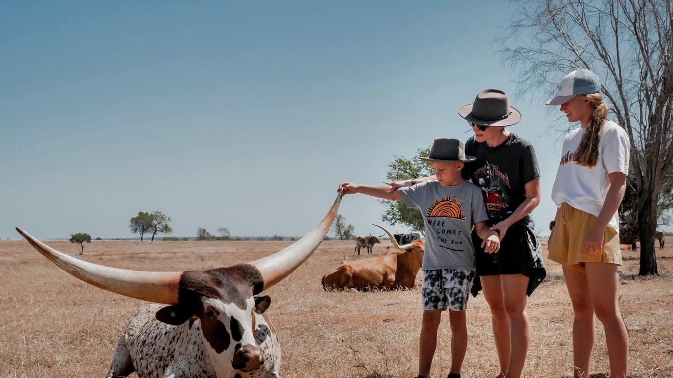 Family standing next to a longhorn bull, child touching its horn. Image credit: Tourism and Events Queensland