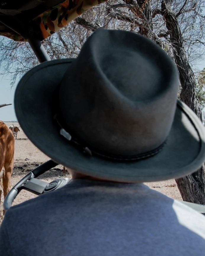 Texas Longhorn gives visiting tourist the eye at Texas Longhorn Tours, Charters Towers. Image credit: Tourism and Enterprise Townsville.