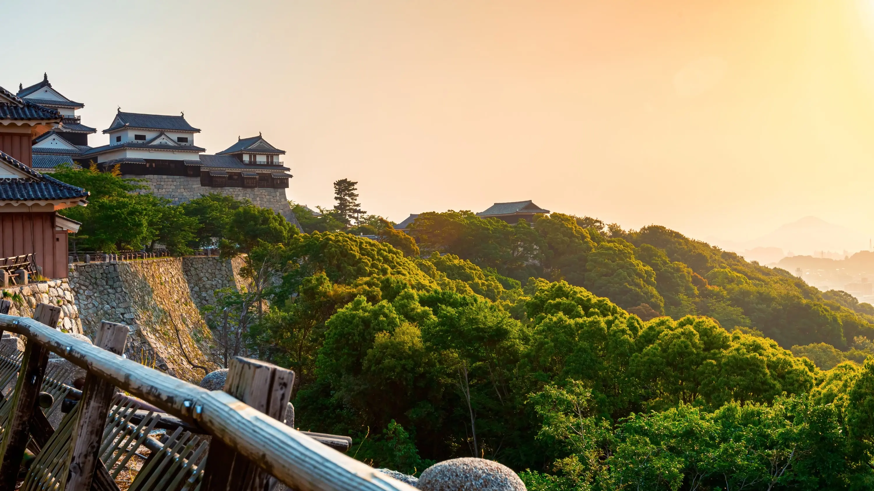 View of Matsuyama castle and a green forest, Matsuyama, Japan. Image credit: stock.adobe.com