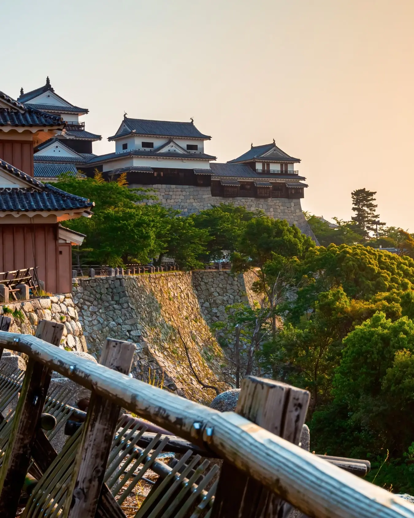 View of Matsuyama castle and a green forest, Matsuyama, Japan. Image credit: stock.adobe.com