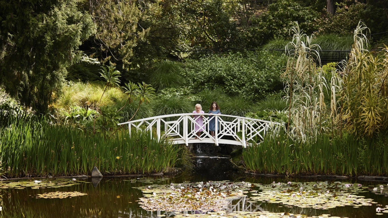 Two people standing on a small bridge overlooking a pond at Royal Tasmanian Botanical Gardens, Hobart. Image credit: Tourism Australia