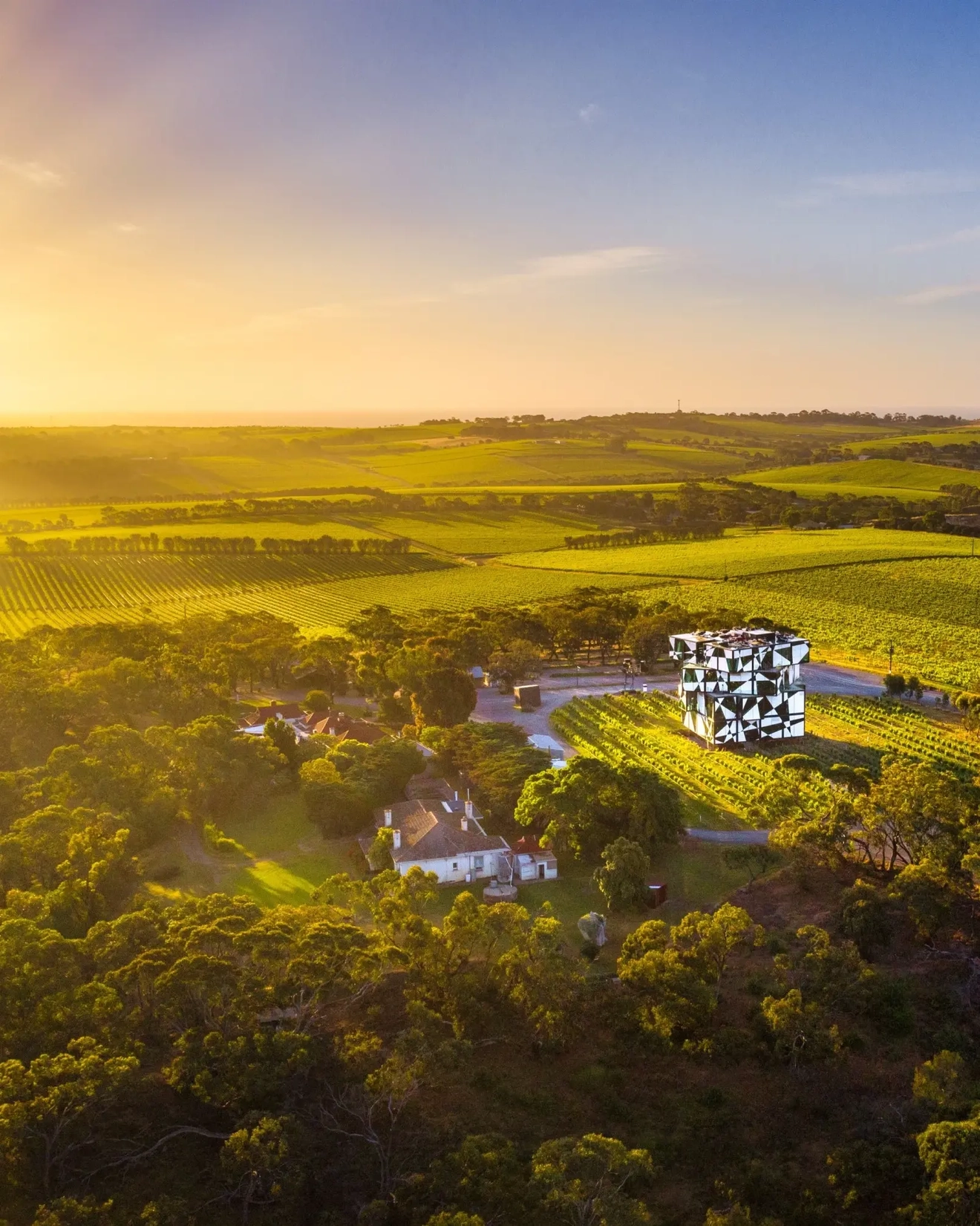 麥克拉倫谷 (McLaren Vale) d'Arenberg 酒莊的 d'Arenberg Cube 釀酒廠鳥瞰圖，周圍環繞著葡萄園。圖像來源：南澳旅遊局