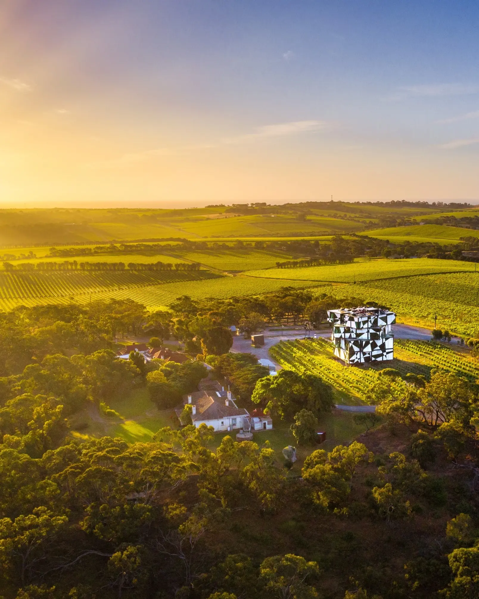 Aerial view of d'Arenberg Cube surrounded by vineyards at d'Arenberg winery, McLaren Vale. Image credit: South Australia Tourism Commission