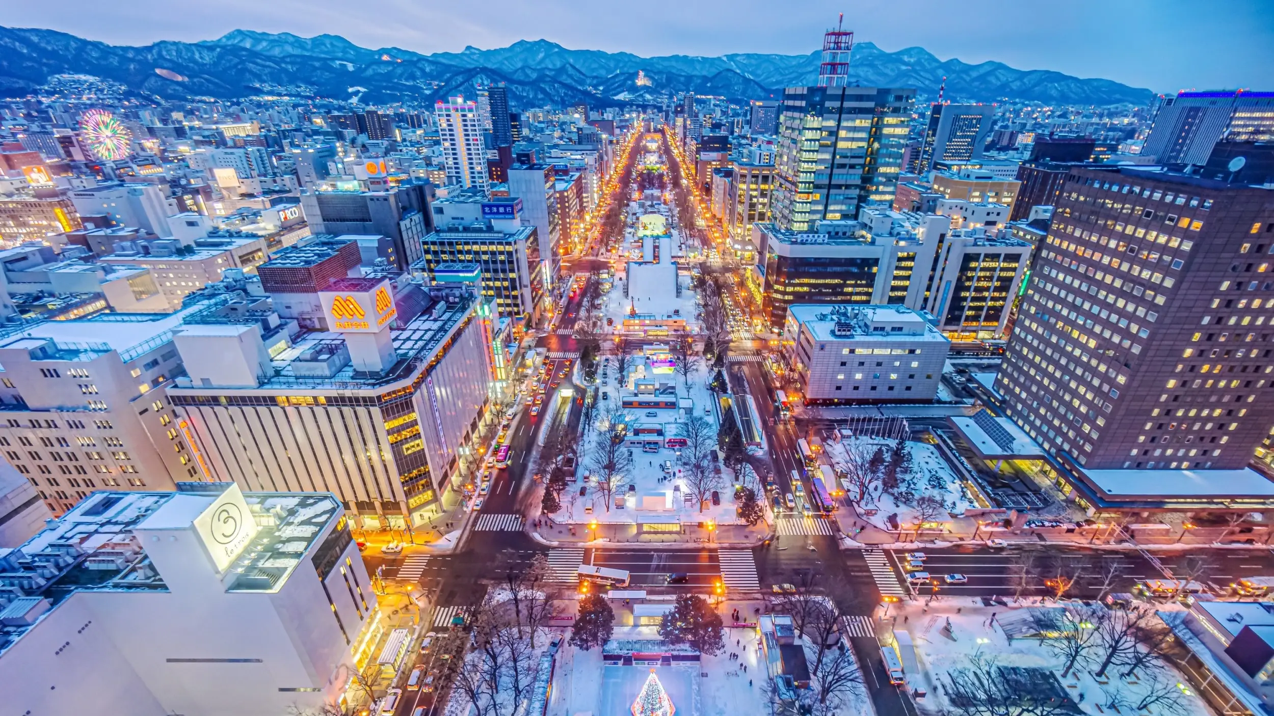 Aerial view of snow-covered Odori Park and surrounding buildings and city lights, with mountains in the background, at night. Image credit: joeyphoto – stock.adobe.com