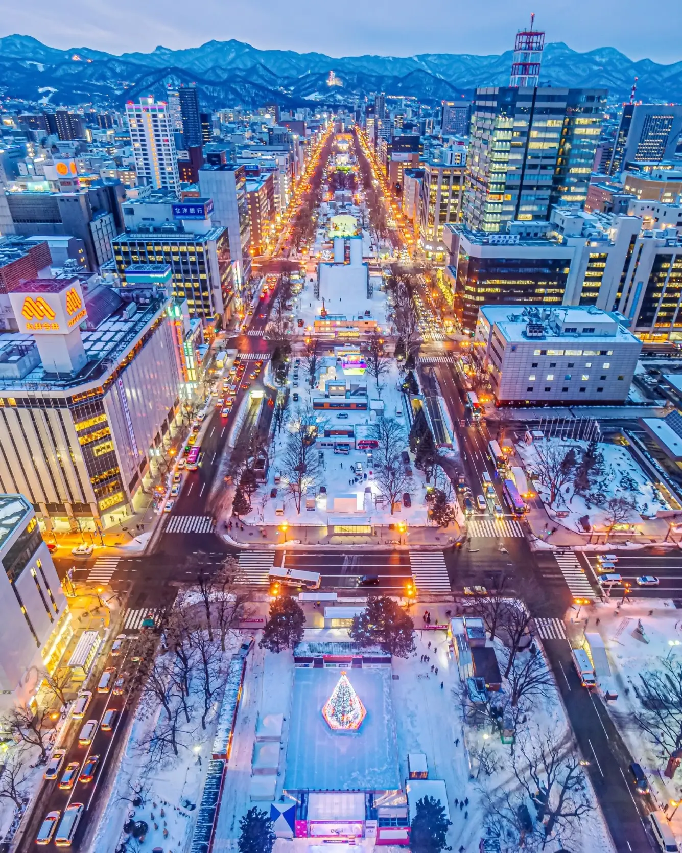 Aerial view of snow-covered Odori Park and surrounding buildings and city lights, with mountains in the background, at night. Image credit: joeyphoto – stock.adobe.com