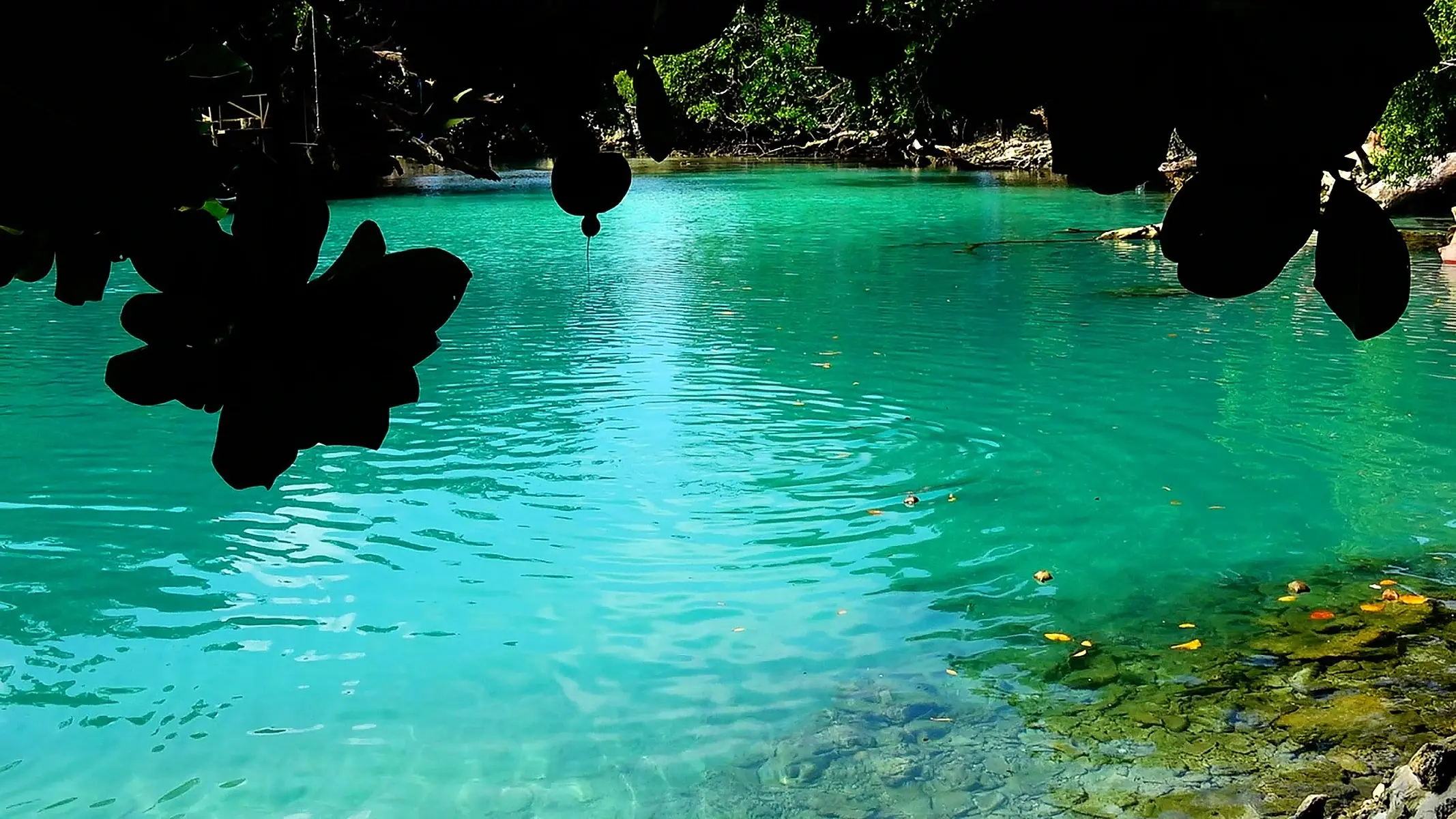 The glorious aquamarine waters of the Blue Lagoon near Port Vila, Vanuatu. Image credit: stock.adobe.com