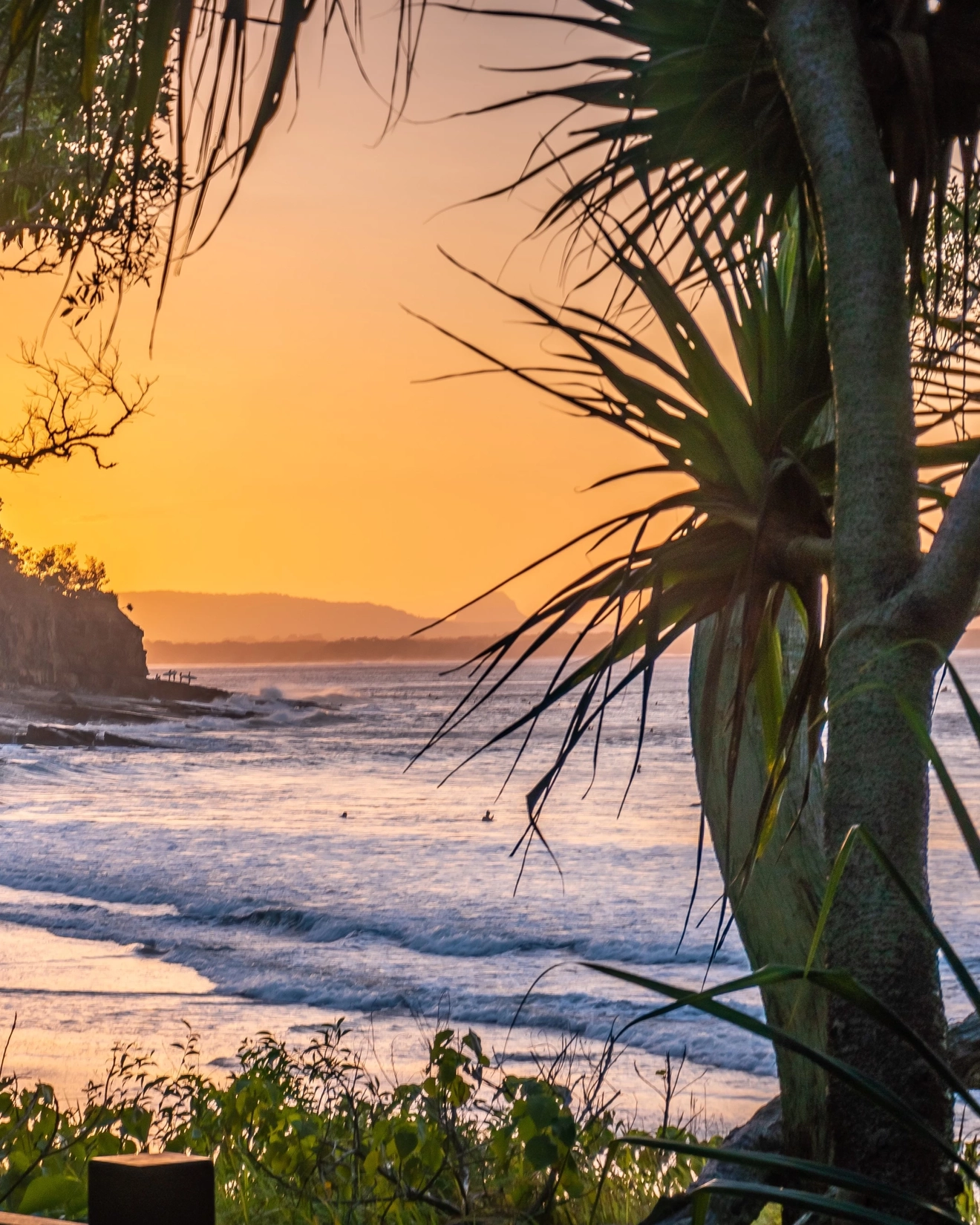 Pam trees in the foreground, surfers in the water at sunset on Noosa Beach, Sunshine Coast, Queensland. Image credit: Shutterstock