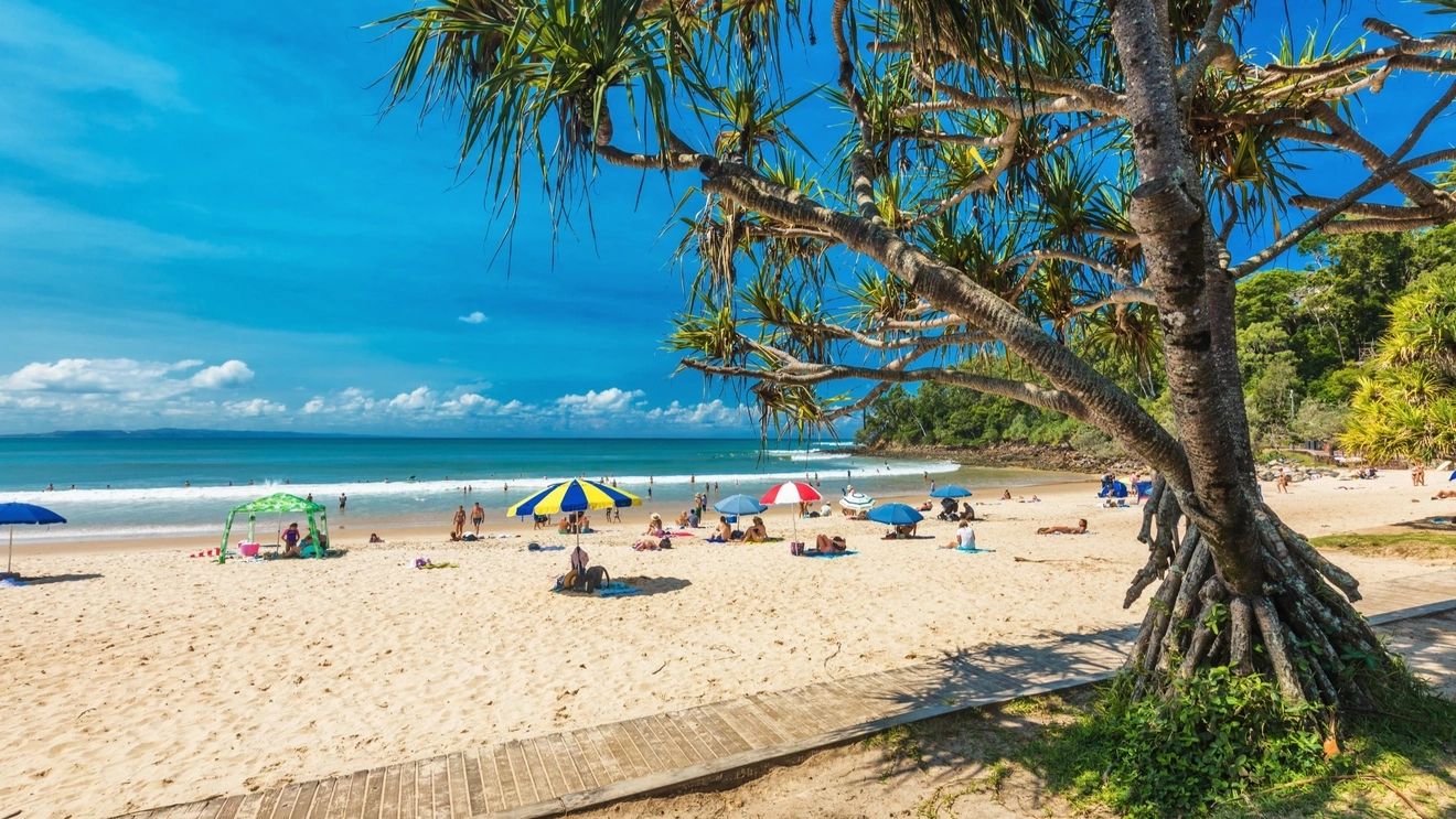 Boardwalk and palm tree in foreground, people and beach umbrellas on Main Beach, Noosa, people in water in background.