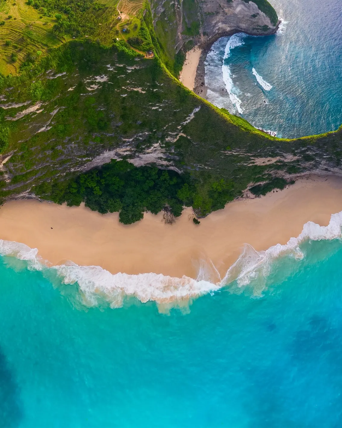 Aerial view of the T-Rex shaped cliff at Kelingking Beach, Nusa Penida, Bali. Image credit: stock.adobe.com