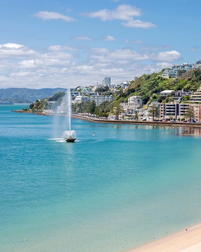 Sandy beach and clear blue water of Oriental Bay with hillside buildings background, Wellington, New Zealand. Image credit: stock.adobe.com