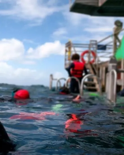 Child with snorkel in the water on a pontoon